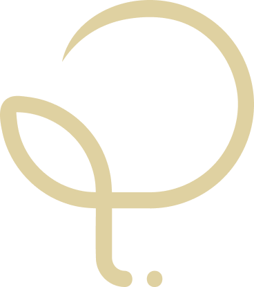 Logo o Ponto da plástica
