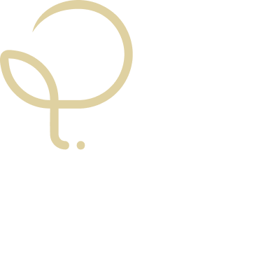 Logo o Ponto da plástica