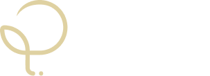 Logo o ponto da plástica